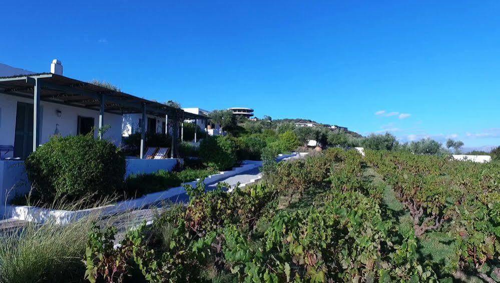 Niriides Villas Selinitsa Экстерьер фото
